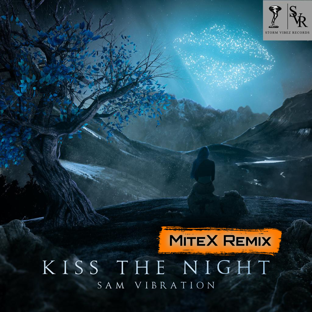Albumcover Kiss the Night (MiteX Remix)