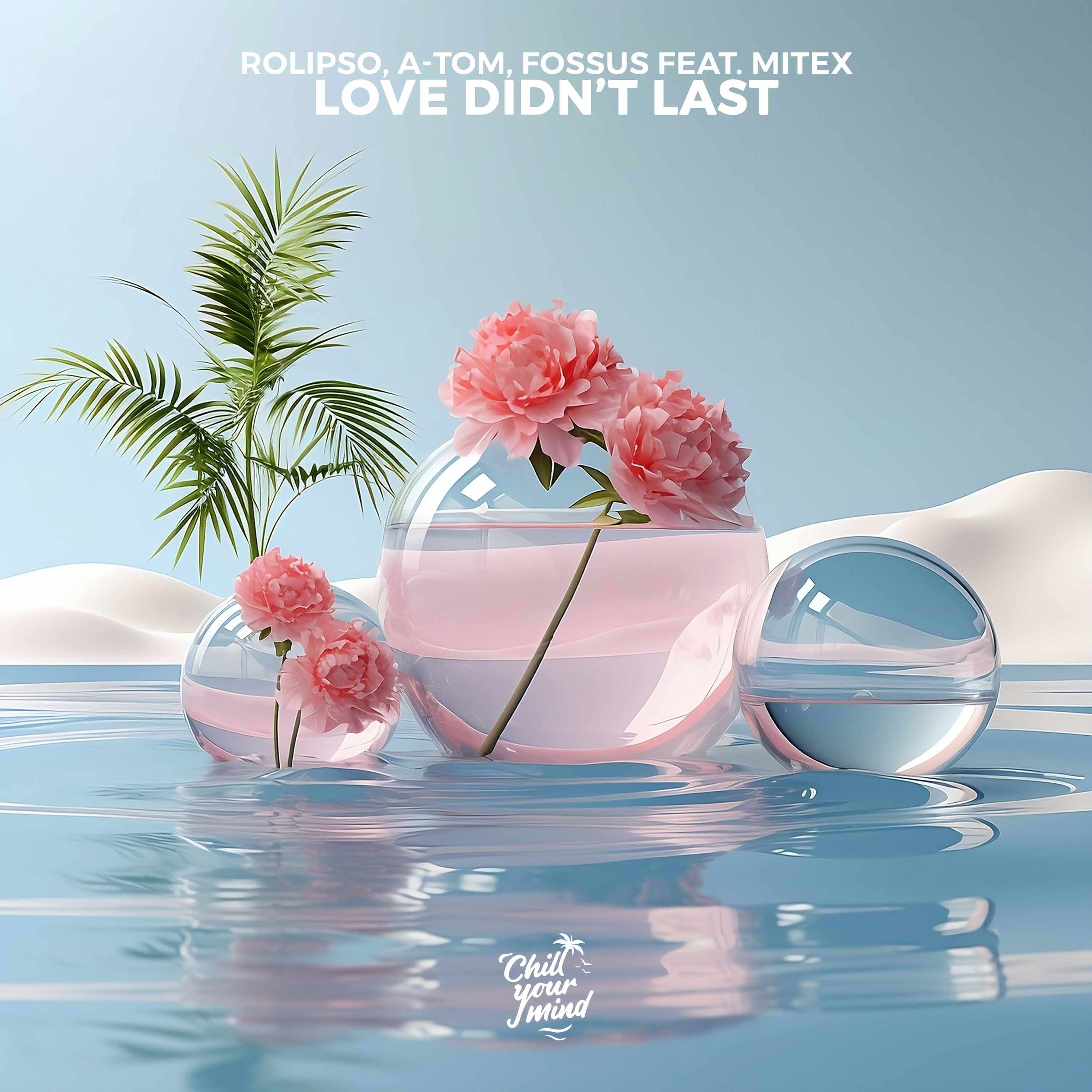 Albumcover Love didn't Last feat. MiteX